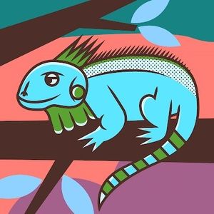 Meet your Posher, James